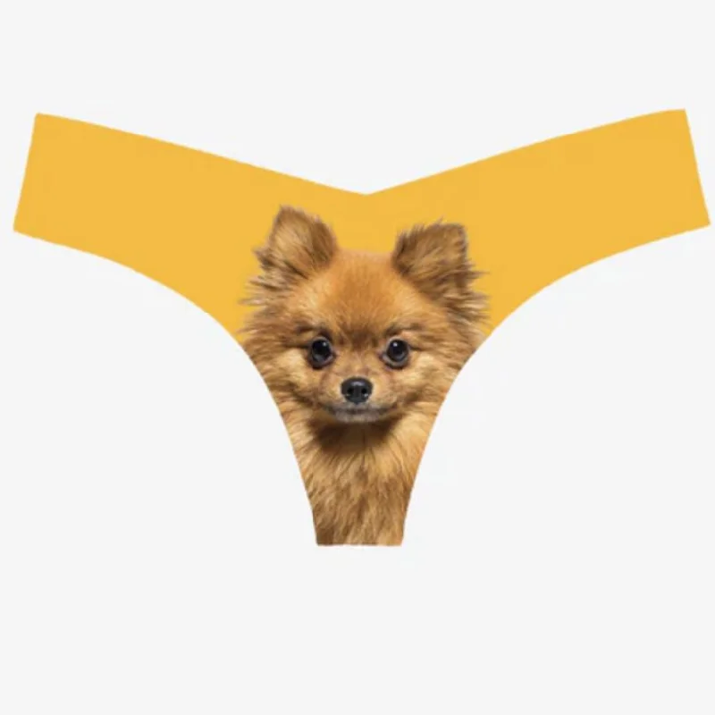 Commando Photo-Op Thong Pomeranian CT18